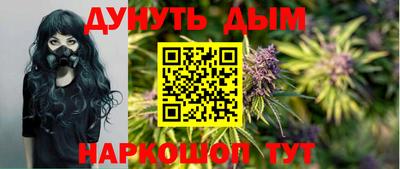 каннабис Новозыбков
