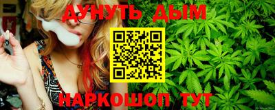 гидропоника Новодвинск
