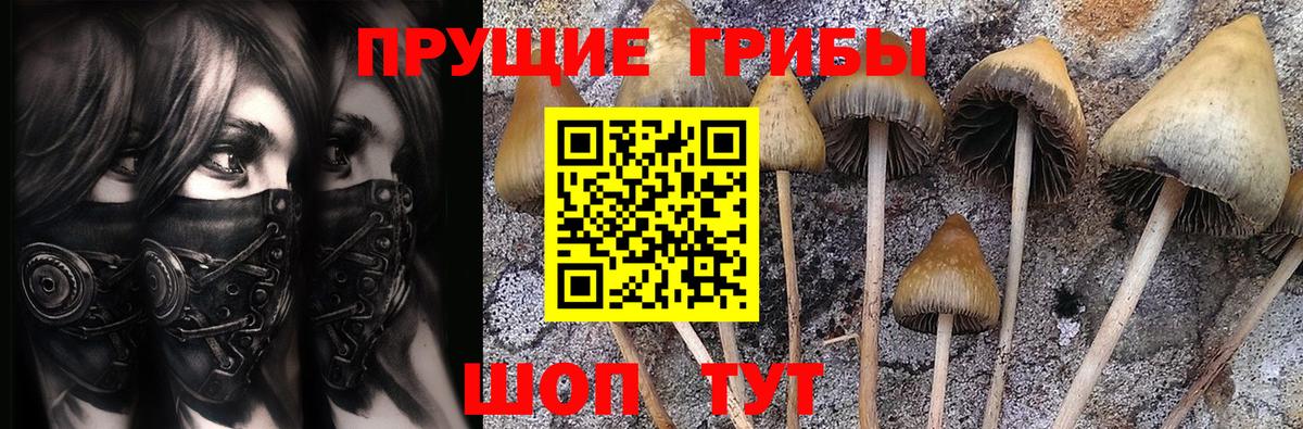 Псилоцибиновые грибы прущие грибы Уссурийск